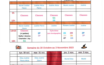 Planning des stages pendant les vacances de la Toussaint, Groupe compétition